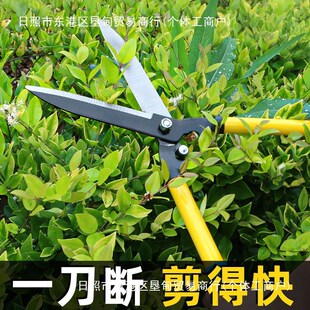 速发修坪专修剪林绿化草剪刀圃林修枝剪苗园修剪工具茶树花树伸缩