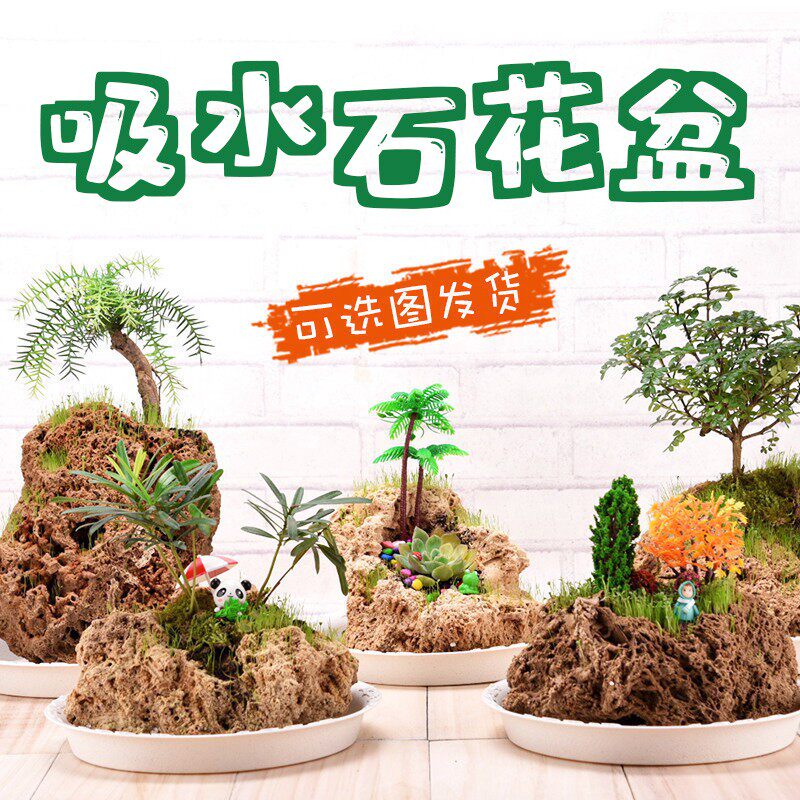 速发吸水石上水石花盆微石观赏多菖文竹原石附景肉蒲石槽花盆