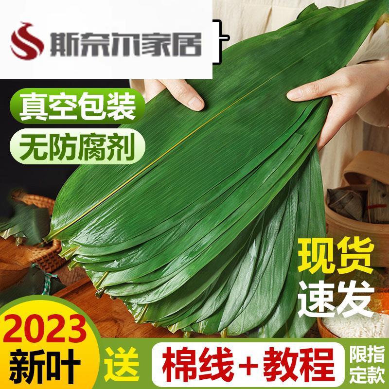 速发粽叶新鲜粽叶免邮新鲜大粽00片商用特大箬叶干1叶非芦苇现摘