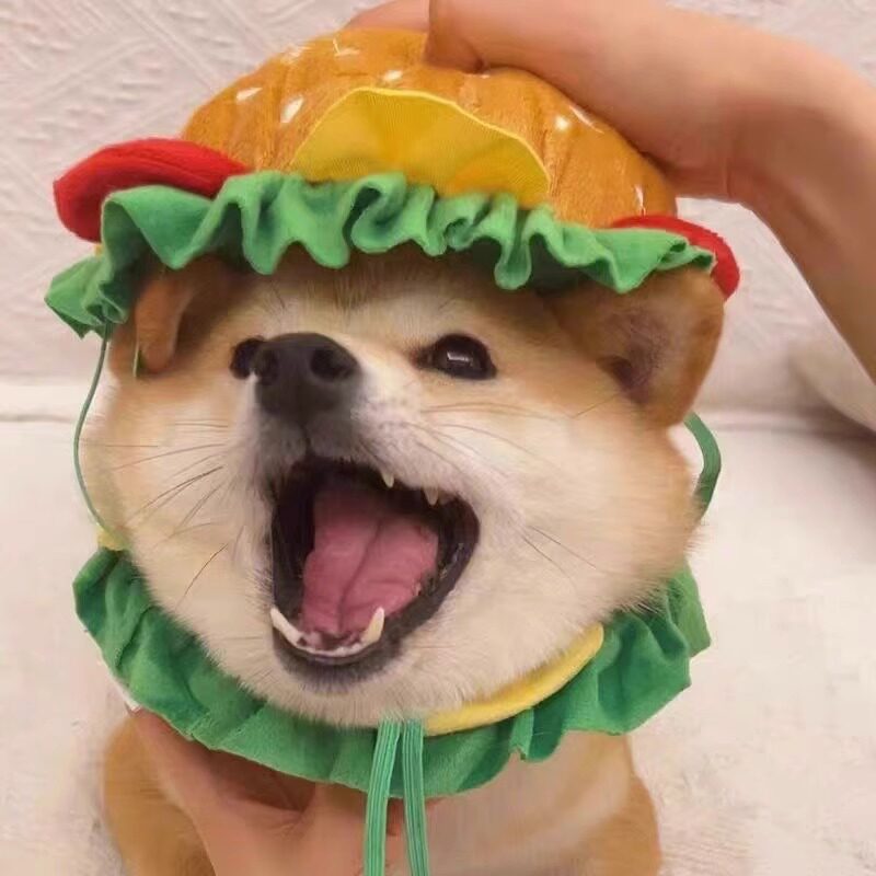 速发汉堡头套发饰猫咪可性柴装衣服个爱变犬服饰道具