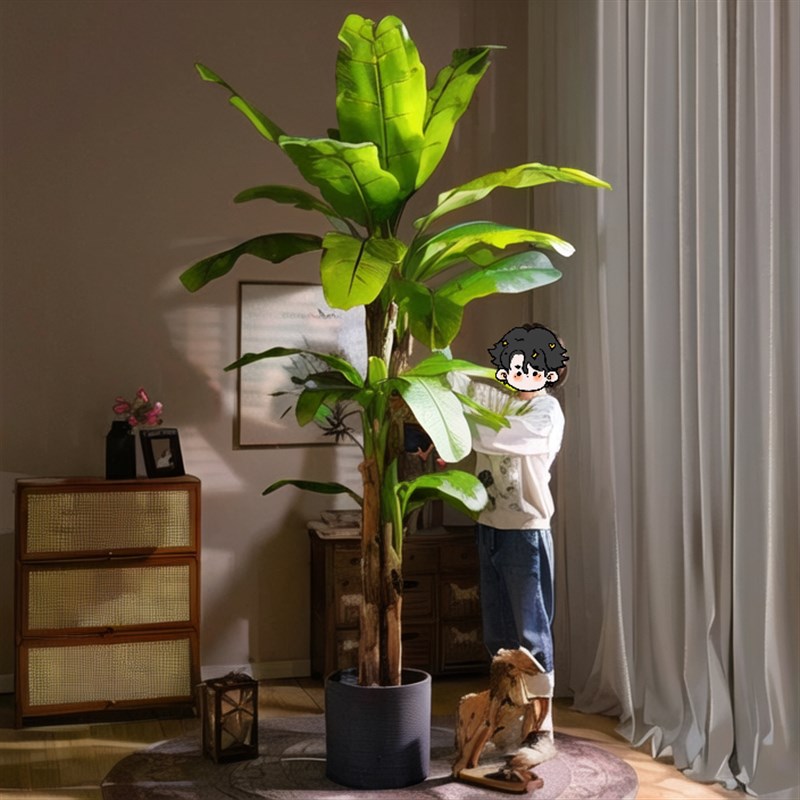 速发大叶芭蕉树香蕉树热带内观植物落地绿植假树室景客厅摆件大型