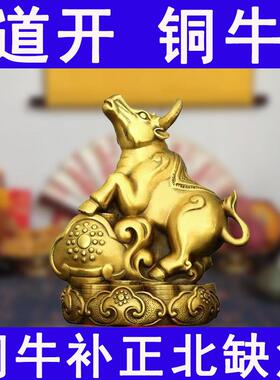 补水铜牛摆件正北缺角房屋坎位补角金钱纯如意铜猪黄铜十二生肖牛