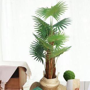 饰摆件 大型仿真蒲葵扇葵棕榈盆景落地绿植盆栽假树植物室内客厅装