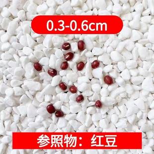 .50斤白色石子石头大鹅卵石庭院铺路铺地小白石花园造景景观白石