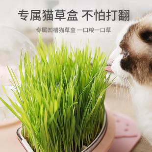 猫碗狗狗水粮一体碗食盆防打翻猫食盆自动保护颈椎大容量宠物用品