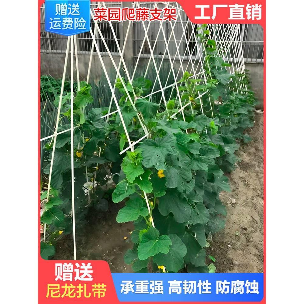 爬藤架花架拱形植物支撑杆支架拱门月季西瓜葡萄花柱黄瓜豆角丝瓜
