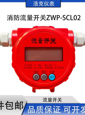 ZWP-CL消防用流量开关管段式超音波24VDC供电输出法兰水泵流量计