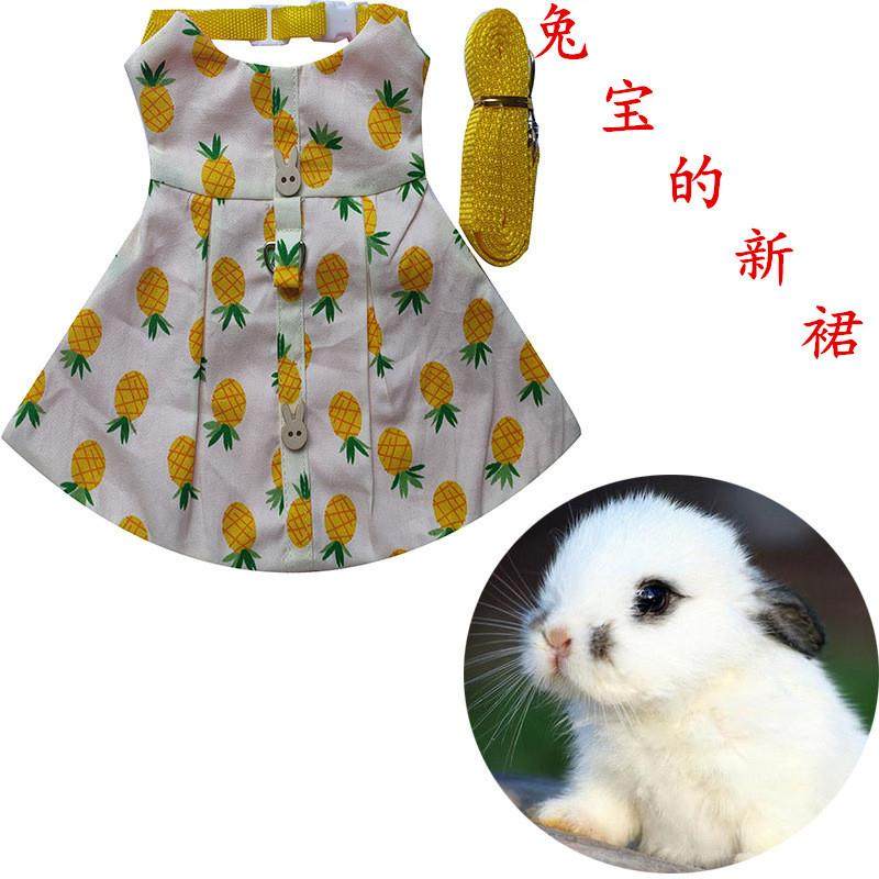 亚马逊款宠物兔子衣服兔兔猫咪垂耳兔装饰品服饰 出游拍照,宠物/宠物食品及用品,玩具/造景装饰,淘宝优惠券,粉丝福利购,淘宝优惠卷