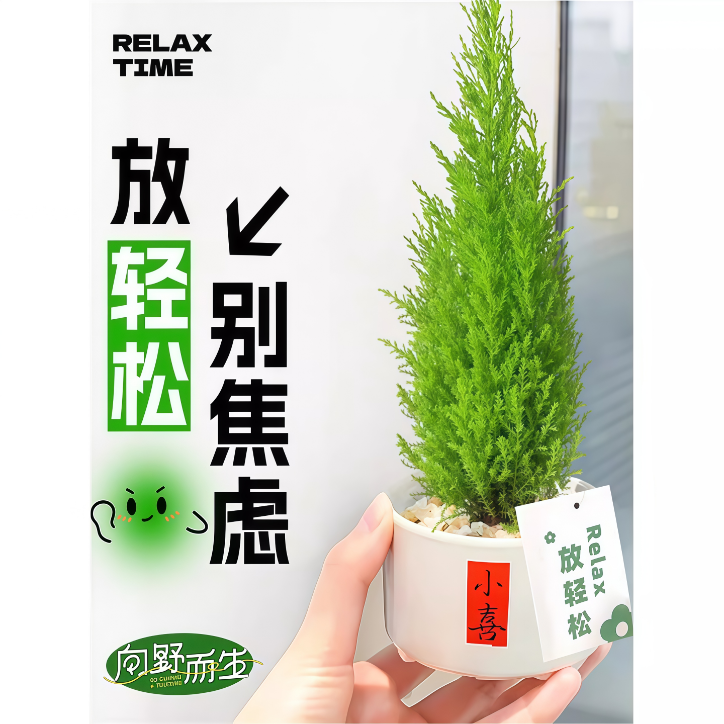 香松盆栽香冠柏桌面绿植花卉客厅