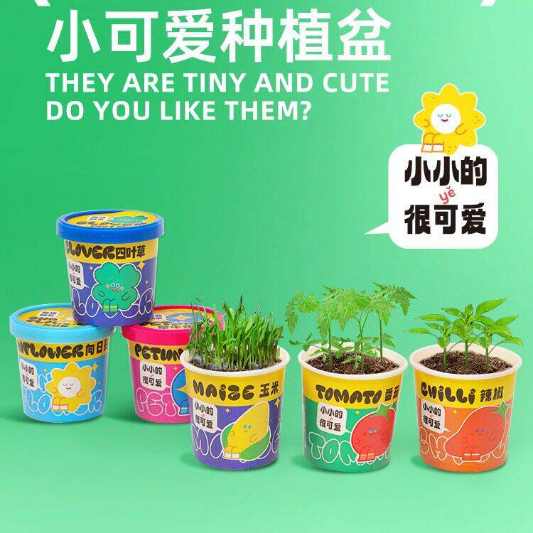 小可爱种植盆栽儿童学生小盆栽植物观察植树节礼品小花农厂家