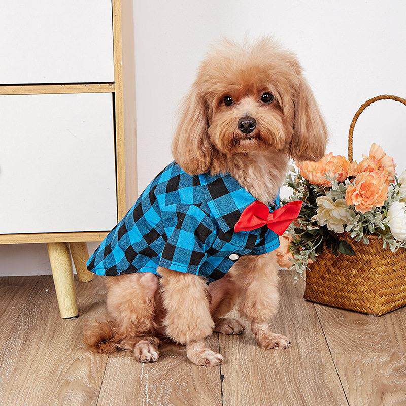 小中大型犬春夏秋狗狗衬衫西装结婚礼服泰迪比熊宠物猫咪衣服用品