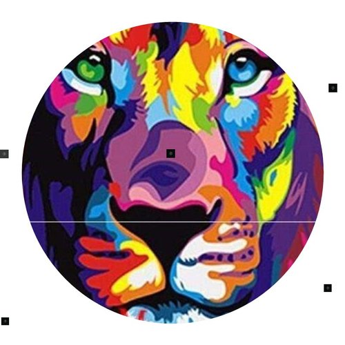 Frameless Colorful Lions Animals DIY Paint By Numbers Mod