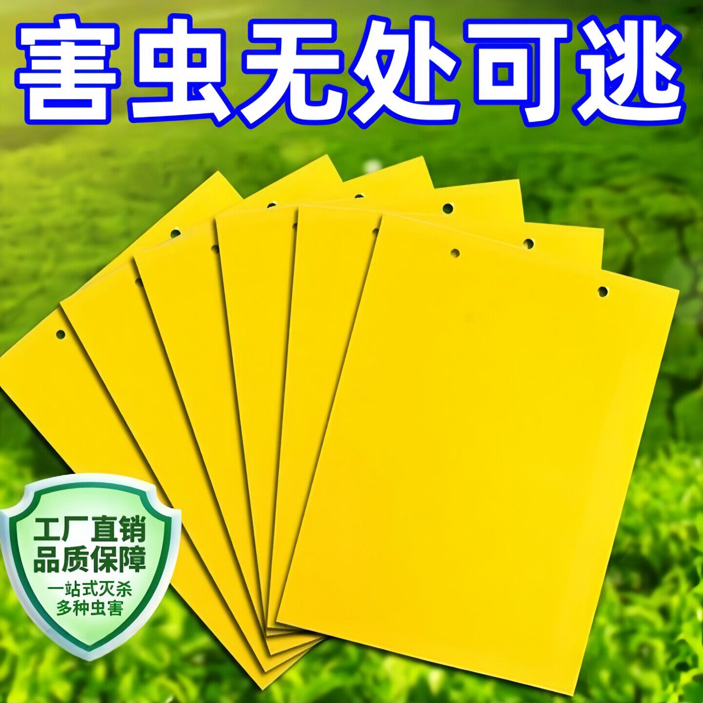 双面黄板粘虫板强力诱捕小飞虫