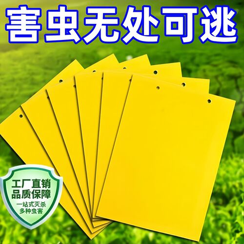 双面黄板粘虫板强力诱捕小飞虫