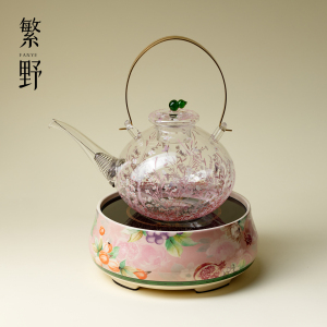 繁野2025新款围炉煮茶壶电陶炉烧水壶套装耐热大容量煮花茶泡茶壶