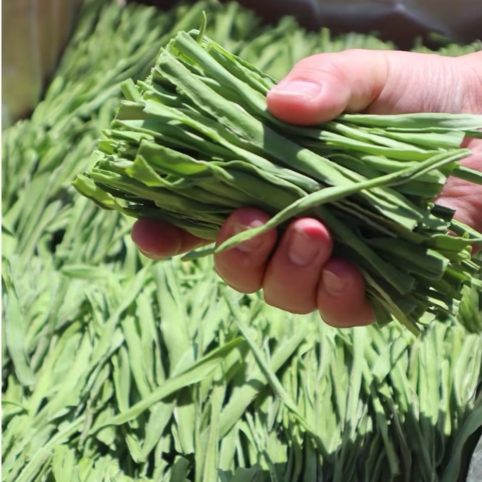 高原贡菜干云南大理宾川新鲜香脆响菜干货脱水蔬菜凉拌菜火锅食材,水产肉类/新鲜蔬果/熟食,腌制/榨菜/泡菜,淘宝优惠券,粉丝福利购,淘宝优惠卷