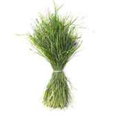 22年头茬全叶烘干南提摩西草干草幼兔子草牧草兔粮龙猫荷兰猪牧草