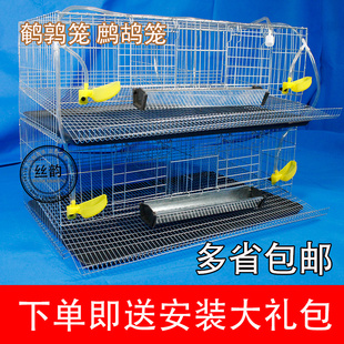 鹌鹑滚蛋笼子鹧鸪配对笼 运输笼 单层 产蛋笼 非阶梯式鸟笼