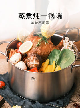 双人汤锅蒸锅炖锅不锈钢汤锅大容量双耳锅煲汤炖煮Novaplus24cm