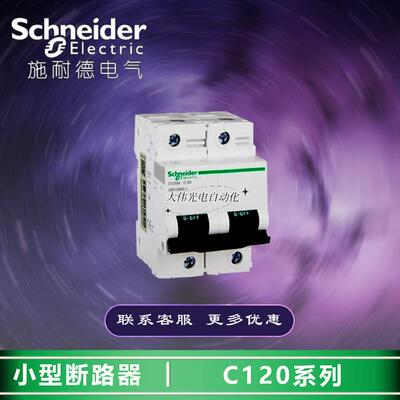极速A9N19825     小型断路器   C120H    2P    C125A