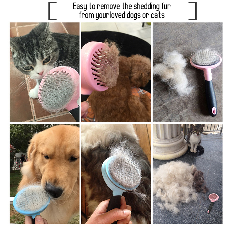 极速PAWZRoad Cat Combs Rake Spill Brush Pet Comb Grooming Pe