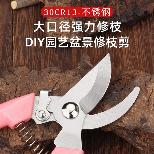 不锈钢修剪树枝修枝剪采摘水果花卉盆景盆栽绿植专用园艺剪刀工具