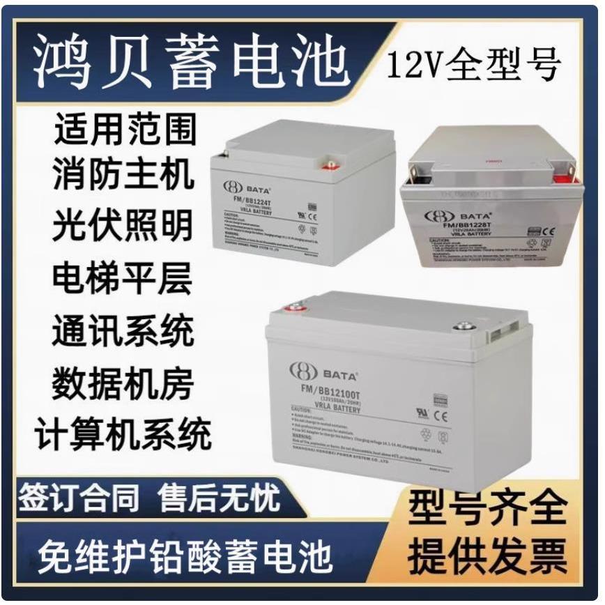 BABY鸿贝蓄电池FM/BB1228T12V7AH12A18A20A24A33A38AH直流屏系统