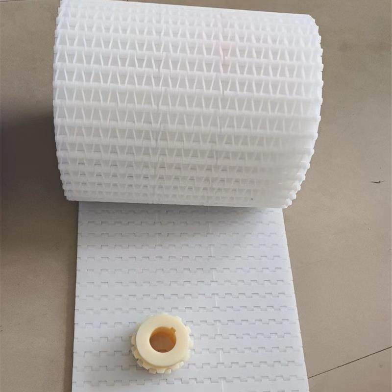 5935 5936塑料链板输送带19.05节距pom输送链板pp食品级塑料网带,五金/工具,传动带,淘宝优惠券,粉丝福利购,淘宝优惠卷