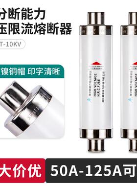 高压熔断器高分断能力限流XRNT10-12KV50A63A80A100A变压器跌落式