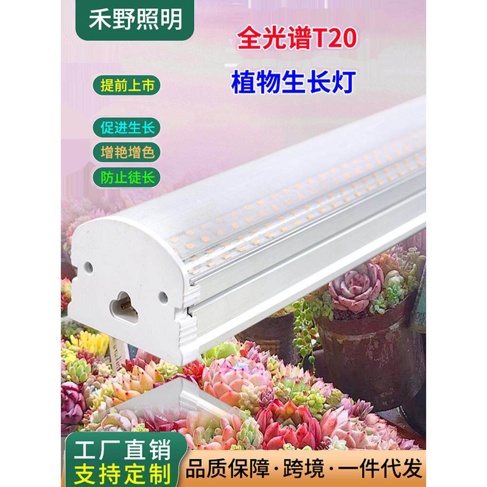 全光谱多肉花卉补光灯T20室内特殊着色防生长Led植物灯种植生长灯