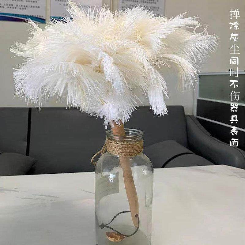 高档白色鸵鸟毛掸家用车用装饰清洁扫灰鸡毛掸子不掉毛白色除尘掸,家庭/个人清洁工具,除尘掸,淘宝优惠券,粉丝福利购,淘宝优惠卷