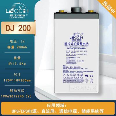 LEOCH理士铅酸蓄电池DJ2V100A200A300A500A1000A直流屏消防光伏