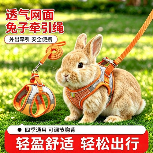 兔子牵引绳防挣脱外出绳可调节