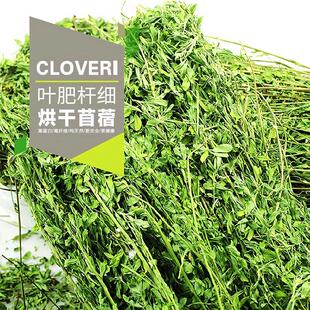 烘干紫花苜蓿草兔兔子干草粮吃的荷兰猪饲料龙猫仓鼠必备用品专用