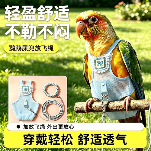 鹦鹉屎兜放飞绳尿不湿轻薄透气