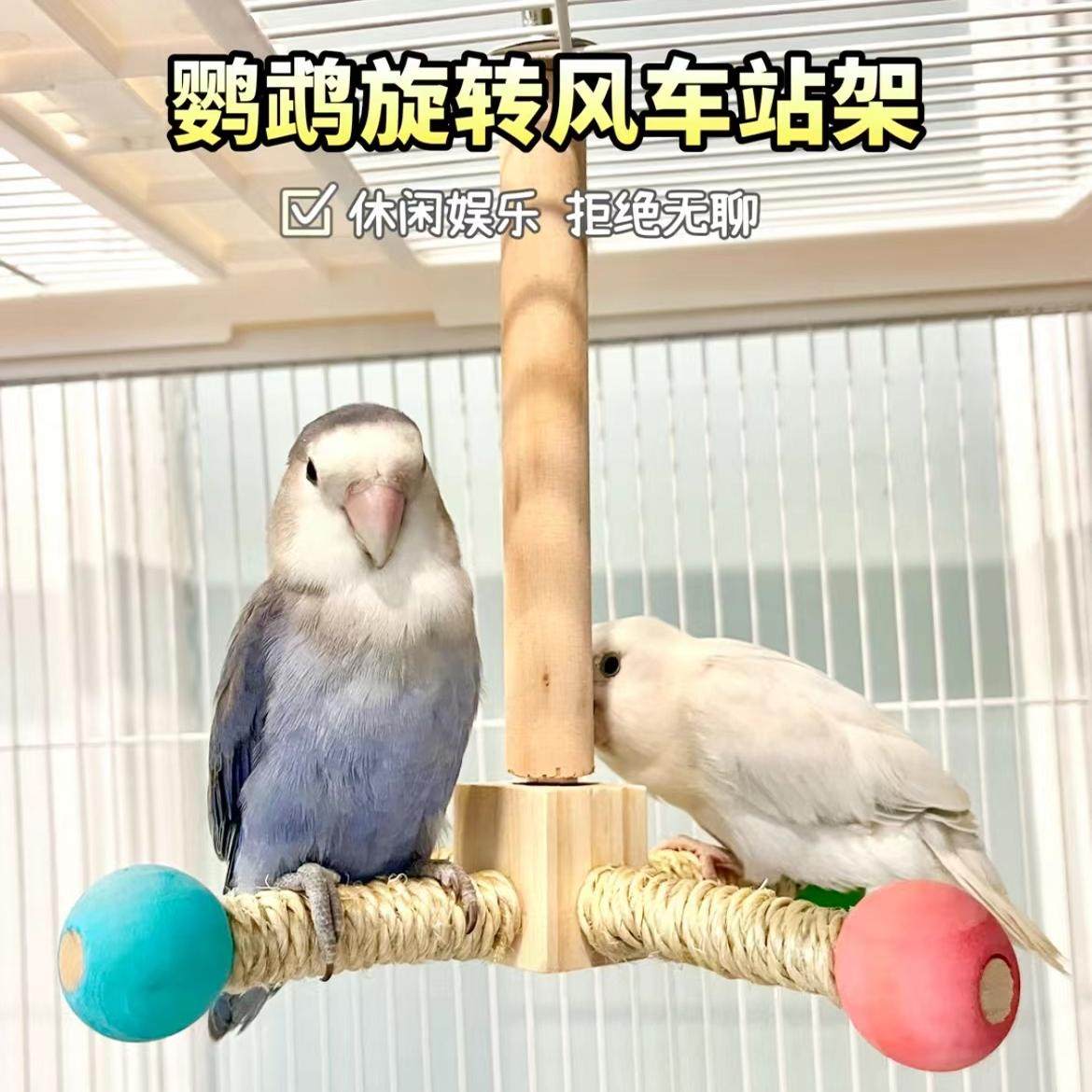 鹦鹉站架旋转风车玩具益智互动鸟笼悬挂空中站架耐啃咬磨嘴爪站杆,宠物/宠物食品及用品,鸟玩具,淘宝优惠券,粉丝福利购,淘宝优惠卷
