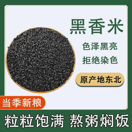 东北黑米新米煮粥血糯米五谷杂粮