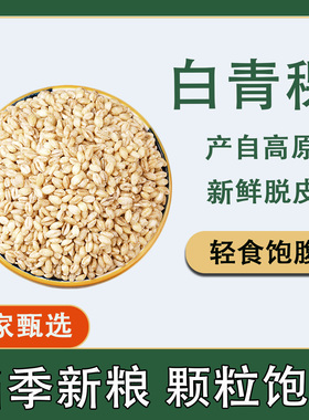 白青稞新货青海高原农家白色青稞米仁新鲜粗粮煮粥酿酒杂粮粗粮粥