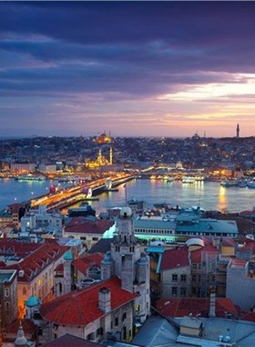 Turkey Istanbul city landscape canvas printings oil paintin