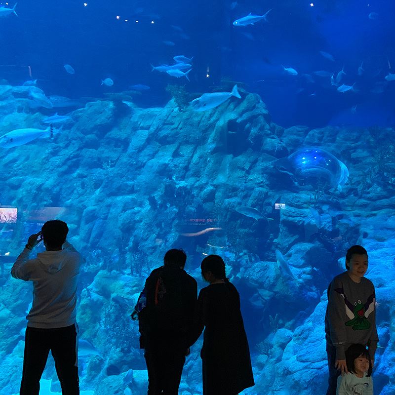 办公室水族工程海水缸圆柱缸海洋缸定做实木超白玻璃金晶玻璃鱼缸