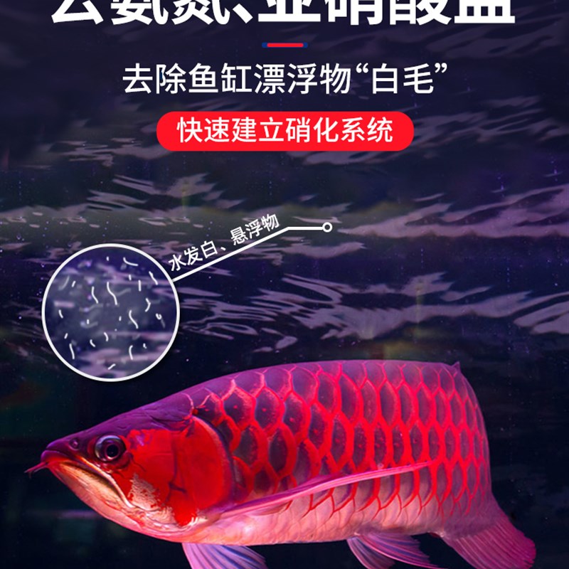 ac鱼缸滤材中空石英球硝化纳米细菌屋培菌净水陶瓷环鱼缸过滤材料