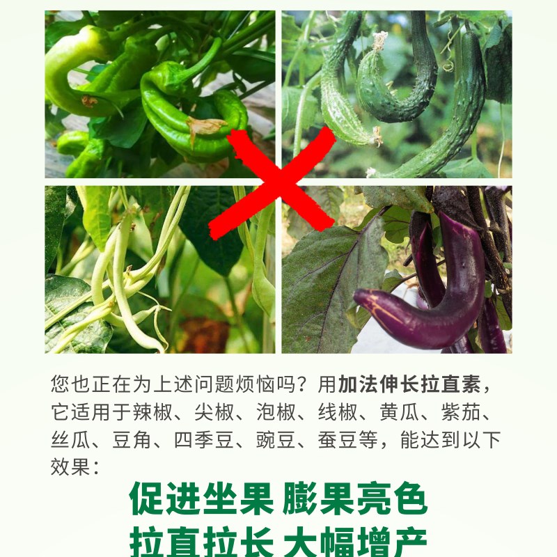 加法伸长拉直素肥料辣椒茄子黄瓜豆角拉长拉直肥膨果亮色促进坐果