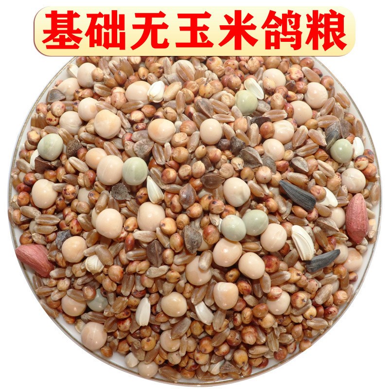 速发饲子无玉米鸽粮粮幼鸽成鸽观赏鸽肉鸽清除砂鸽子鸽料