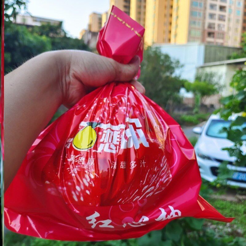 速发柚子包装袋子套袋食用级保鲜袋迷你礼品专用水果保护袋树上套