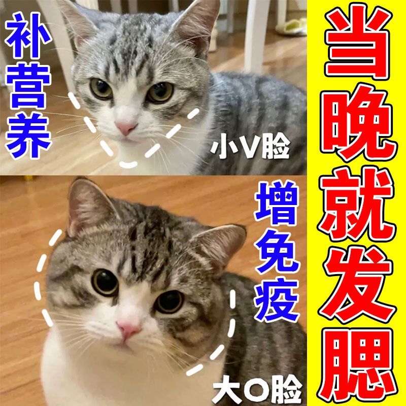速发猫咪不腮神器蓝猫母猫爆腮粉养吃饭食欲不振营发膏增肥发腮营