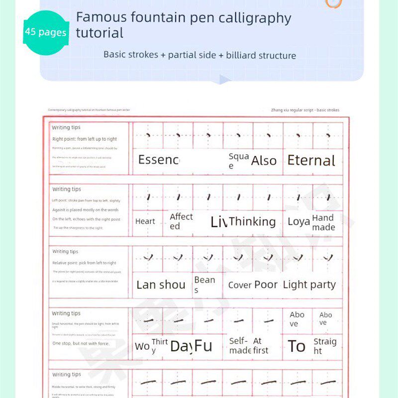 速发张秀硬笔楷书爱好者基础教程生练字电子版可打印