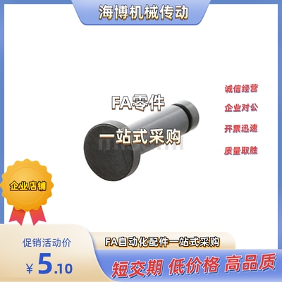 铰链销 GHCCG/SHCCG/SHCCGH/GSHCCGH10/12/13/15/16/17/18/20/25/