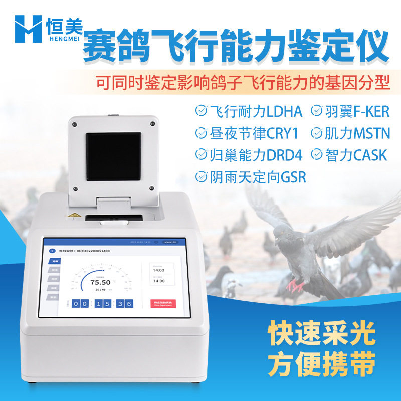 赛鸽飞行能力鉴定仪鸽子DNA归巢检测红外雌雄性别鉴别仪高精度