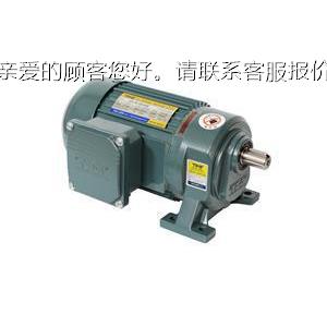 G-8-1010-3GH-18-100A 减H齿轮马达 TPG(速质量保证)