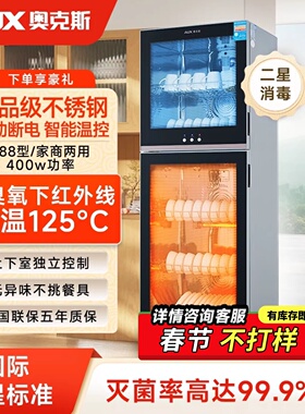 奥克斯二星级消毒柜家用立式小型消毒碗柜餐具碗筷双层家庭级奶瓶